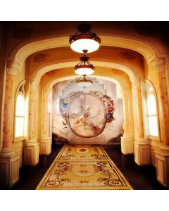 European Paint On Wall Computer Printed Photography Backdrop HY-CM-3829