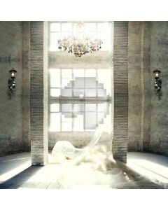 Chandelier Between Brick Pillars Computer Printed Photography Backdrop HY-CM-3858