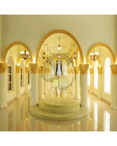 Arch Gates And Pillars Computer Printed Photography Backdrop HY-CM-4021
