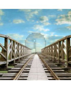 Wooden Pathway Computer Printed Photography Backdrop HY-CM-4305