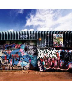 Lovely graffiti wall Computer Printed Photography Backdrop HY-L-368