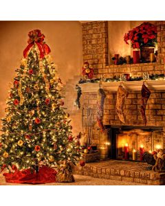 Christmas Trees Computer Printed Photography Backdrop L-800