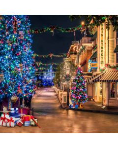 Christmas Night Computer Printed Photography Backdrop L-810