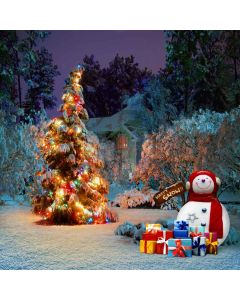 Happy Snowman Computer Printed Photography Backdrop L-826
