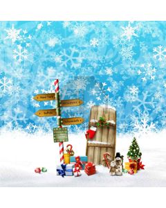 The Gift Of Snow  Computer Printed Photography Backdrop L-841