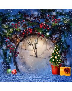 Frozen Clocks Computer Printed Photography Backdrop L-853