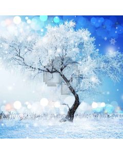A Lonely  Cedar  Computer Printed Photography Backdrop L-864
