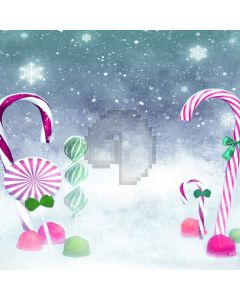 Falling Snow Computer Printed Photography Backdrop L-871