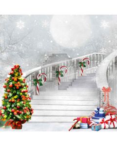 Frozen Stairs Computer Printed Photography Backdrop L-875