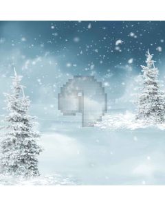 Romantic Snow Computer Printed Photography Backdrop L-883