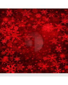 Celebration Setting  Computer Printed Photography Backdrop L-887