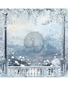 Frozen Balcony Computer Printed Photography Backdrop L-890