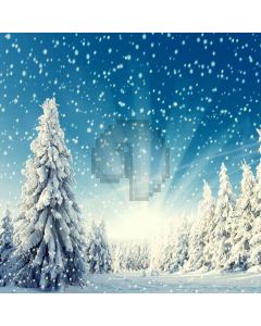 Dancing Snow Computer Printed Photography Backdrop L-891