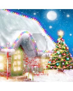 Bright Snow Night  Computer Printed Photography Backdrop L-897