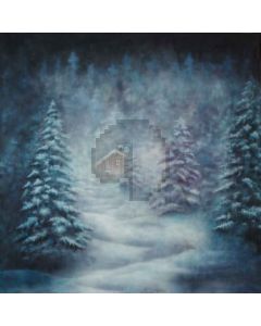 The Mist Snow  Computer Printed Photography Backdrop L-907