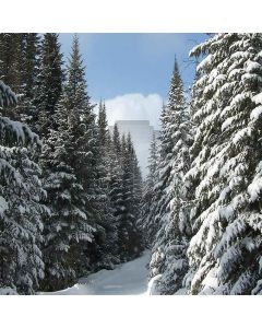 Snowy Pine Computer Printed Photography Backdrop LMG-006