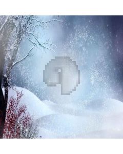 Romantic Snow Computer Printed Photography Backdrop LMG-008