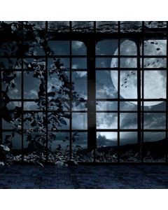 Spooky Window Computer Printed Photography Backdrop LMG-024