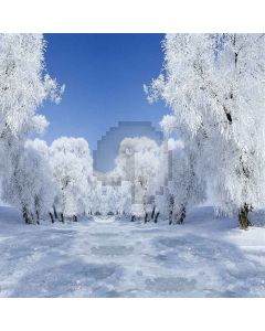 Icy Forest Computer Printed Photography Backdrop LMG-034
