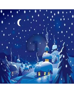Snowy Village Computer Printed Photography Backdrop LMG-065