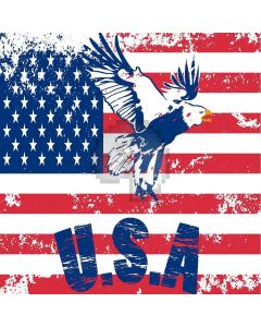 American Flag Computer Printed Photography Backdrop LMG-082