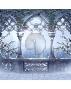 Corridor With Rose Computer Printed Photography Backdrop LMG-139