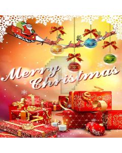 Christmas Gifts Computer Printed Photography Backdrop LMG-147