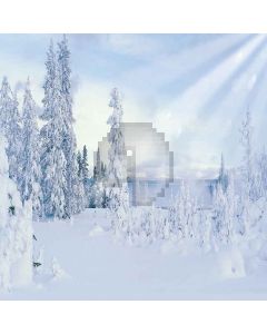 Snowy Forest Computer Printed Photography Backdrop LMG-167