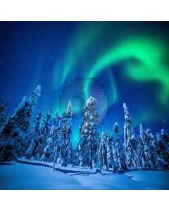 Aurora In Snowy Forest Computer Printed Photography Backdrop LMG-169