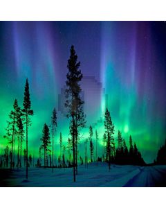 Aurora In Forest Computer Printed Photography Backdrop LMG-170