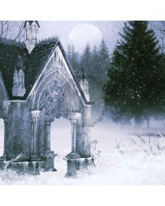 Freezing Castle Computer Printed Photography Backdrop LMG-172
