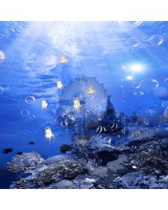 Sea World Computer Printed Photography Backdrop LMG-173
