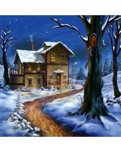 Cabin In Snow Computer Printed Photography Backdrop LMG-185