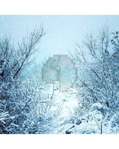 Snowy Woods Computer Printed Photography Backdrop LMG-191
