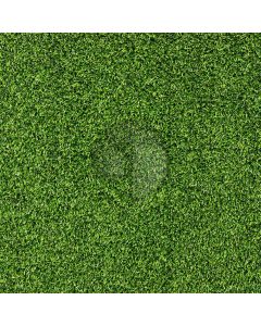 Vital Grassland Computer Printed Photography Backdrop LMG-216