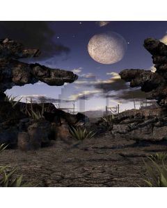 Quiet Moon Computer Printed Photography Backdrop LMG-246