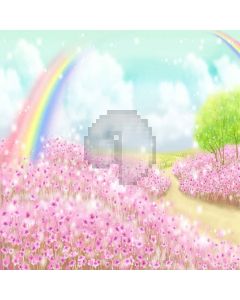 Cute Rainbow Computer Printed Photography Backdrop LMG-258
