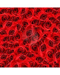 Rose Wall Computer Printed Photography Backdrop LMG-267