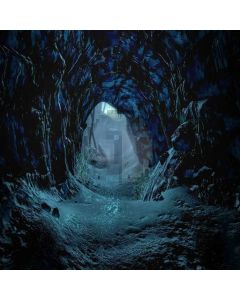 Dark Castle Computer Printed Photography Backdrop LMG-339