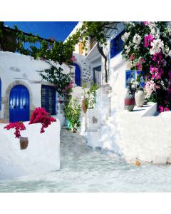 Pretty House Computer Printed Photography Backdrop LMG-357