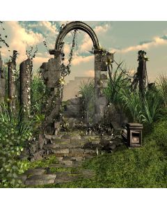 Rotten Field Computer Printed Photography Backdrop LMG-380