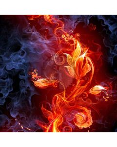 Fantastic Fire Computer Printed Photography Backdrop LMG-387