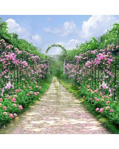 Pretty Garden Computer Printed Photography Backdrop LMG-407