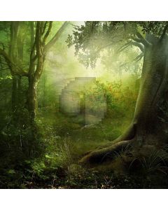 Dark Forest Computer Printed Photography Backdrop LMG-410