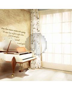Quiet Indoor Computer Printed Photography Backdrop LMG-413