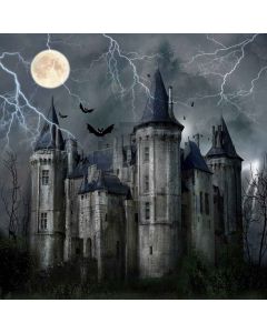 Dark Castle Computer Printed Photography Backdrop LMG-417