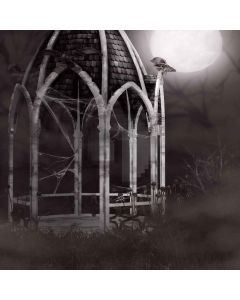 Halloween Night Computer Printed Photography Backdrop LMG-425