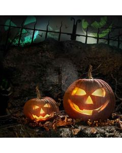 Spooky Lantern Computer Printed Photography Backdrop LMG-435