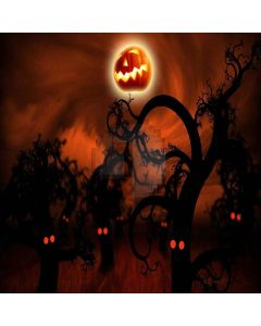 Spooky Night Computer Printed Photography Backdrop LMG-439