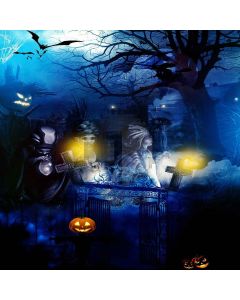 Spooky Tomb Computer Printed Photography Backdrop LMG-448
